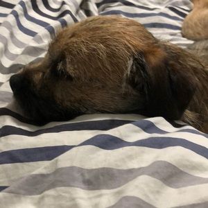 Meet your Posher, Kelsey